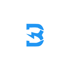 버스트(BURST)