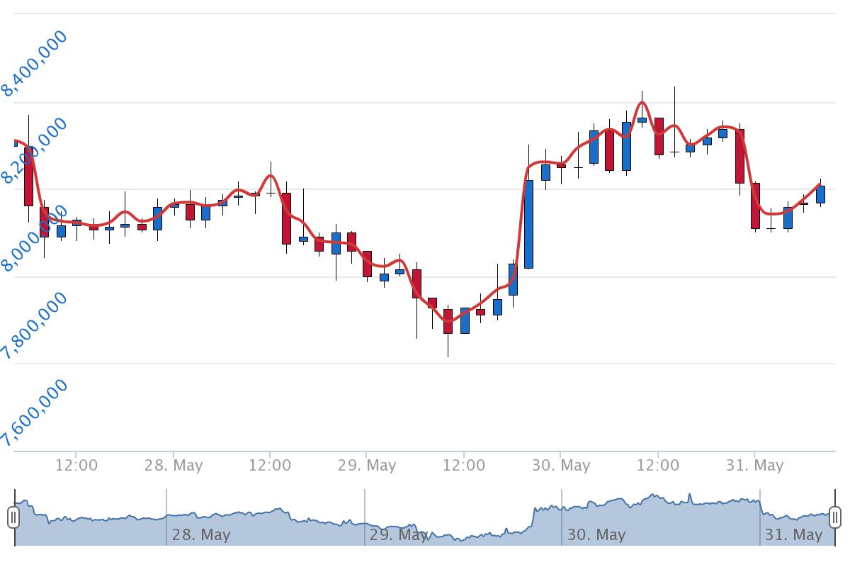 5월 31일 시황 분석